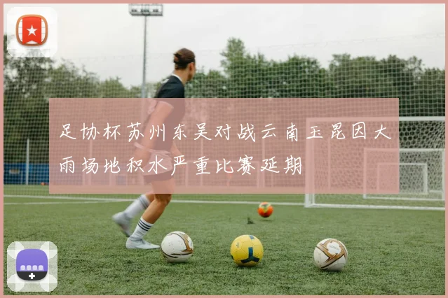 足协杯苏州东吴对战云南玉昆因大雨场地积水严重比赛延期
