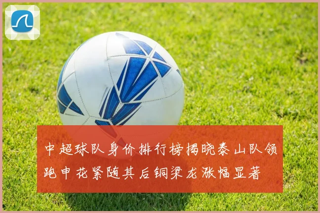 中超球队身价排行榜揭晓泰山队领跑申花紧随其后铜梁龙涨幅显著