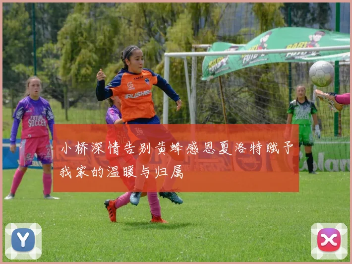 小桥深情告别黄蜂感恩夏洛特赋予我家的温暖与归属