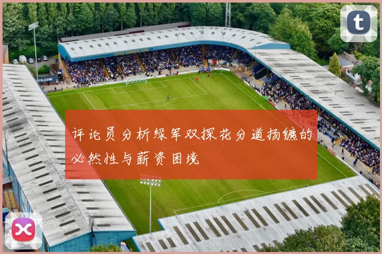 评论员分析绿军双探花分道扬镳的必然性与薪资困境