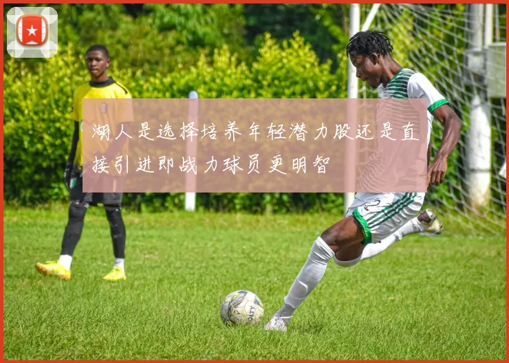 湖人是选择培养年轻潜力股还是直接引进即战力球员更明智