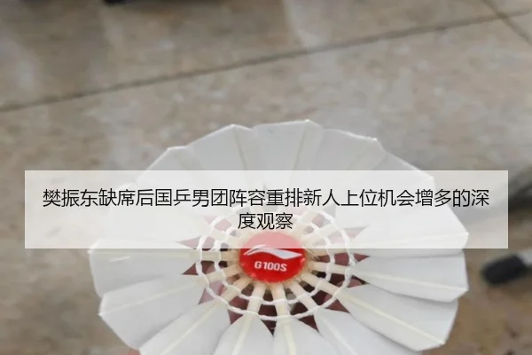 樊振东缺席后国乒男团阵容重排新人上位机会增多的深度观察
